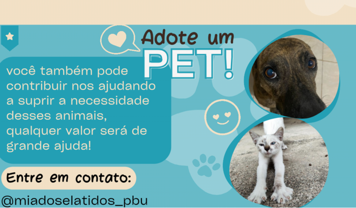 Ajude um animalzinho abandonado
