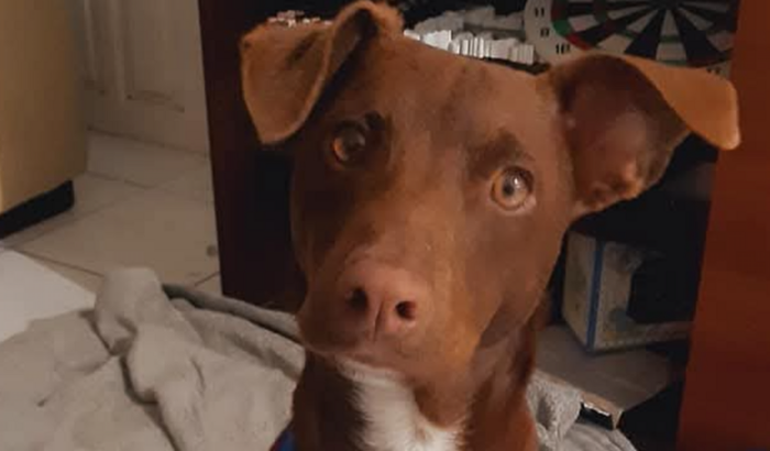 Ajude Nossa Família a Recomeçar no RJ Sem Deixar Nada Para Trás!