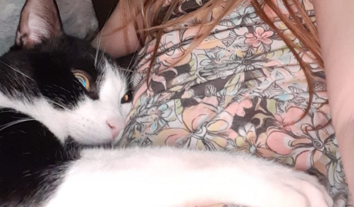 Vamos ajudar o Liu !!!