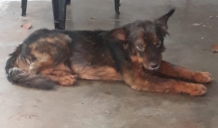 Correndo contra o tempo