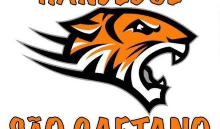 Um Sonho chamado “HANDEBOL”