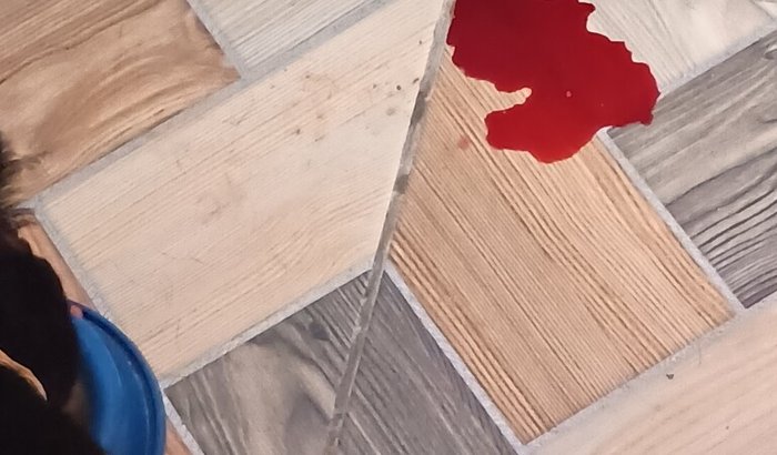 Meu gatinho tá com infecção urinária 