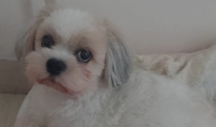 Ajude a Kiara em seu tratamento 