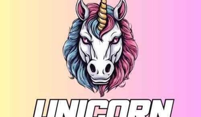 Unicorn Mode: Juntos Voamos!