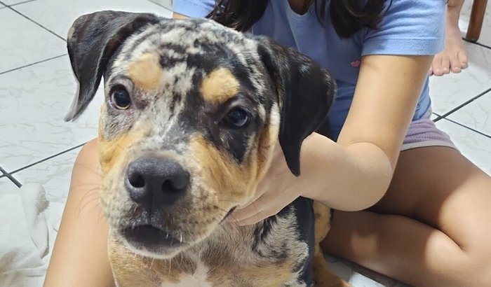 Cirurgia para Frida