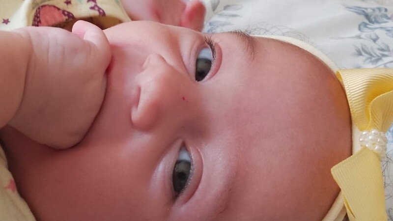 Primeiros Passos da Antonella