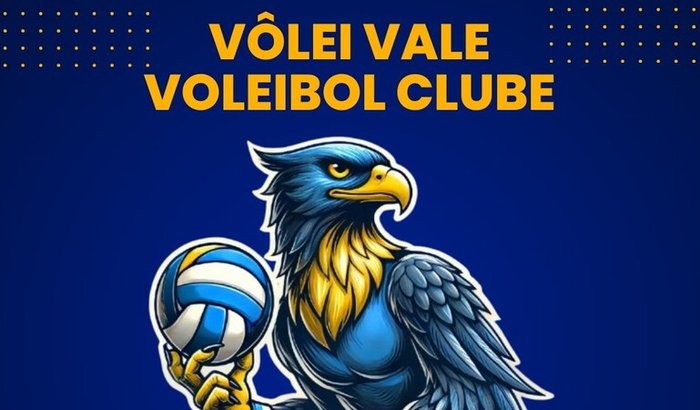 Ace Solidário: Vôlei Vale Campeão
