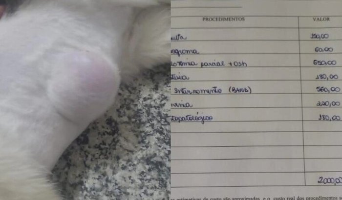 Vamos ajudar a Nina