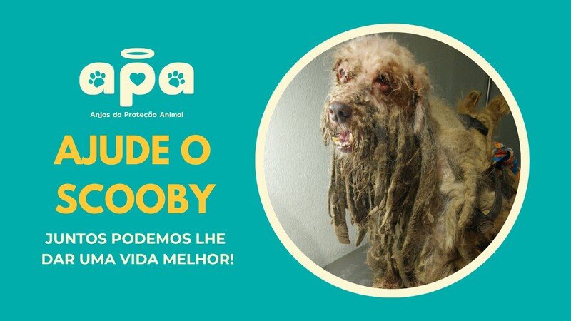 AJUDE O SCOOBY