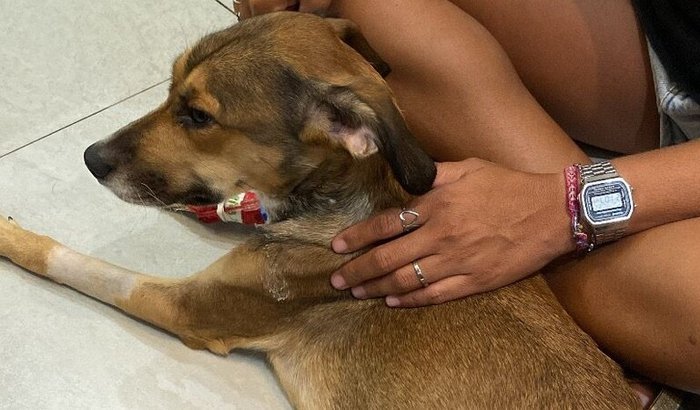 Ajude a salvar a Bia ♥  internação + colonoscopia + biópsia + cirurgia 