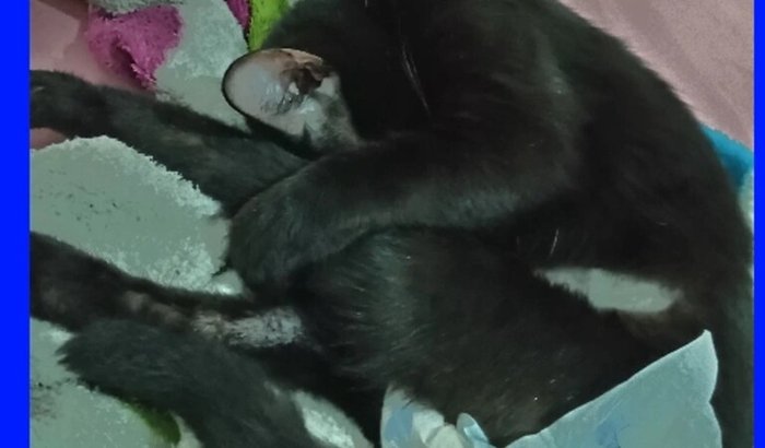Uma mão amiga para a nox - pode ajudar a nox com fisioterapia?