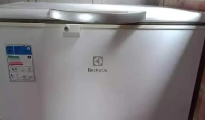 Ajuda para comprar um freezer para trabalhar