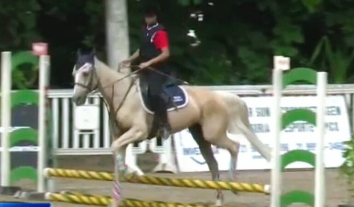 Prova Hipismo (salto) - Teresópolis