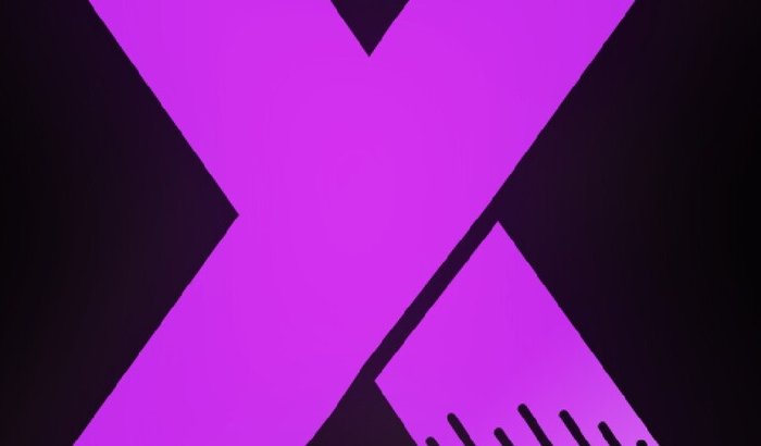 Dominio para Studio X Arts:xarts.com.br