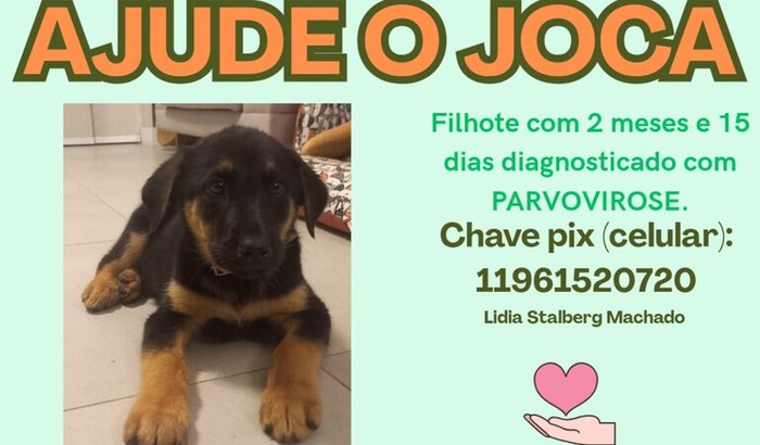 Ajude o Joca