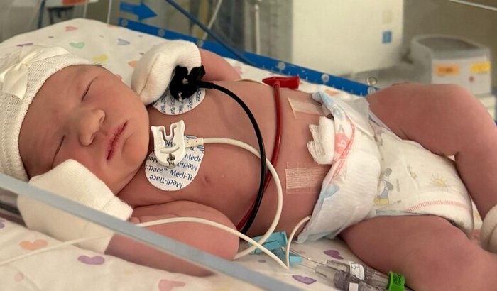 Ajude a Fernanda a vencer a batalha contra a Cardiopatia! 🫀