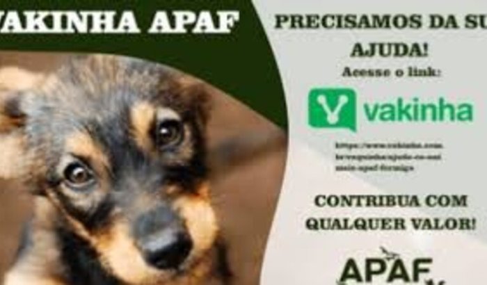 AJUDE OS POBRES CACHORRINHOS DE RUA!