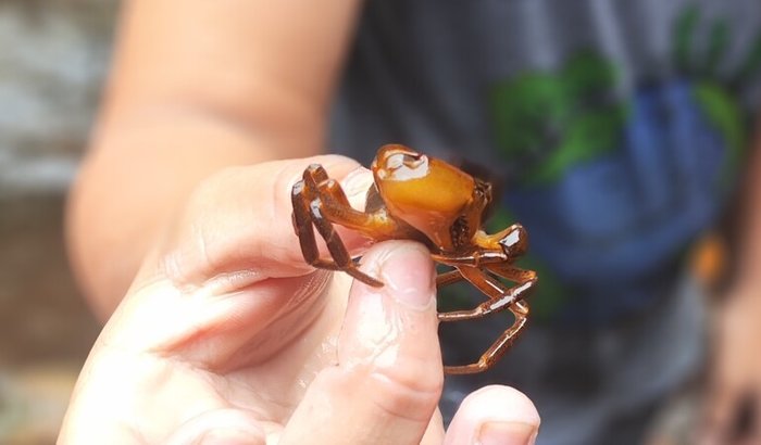 Comprar uma câmera fotográfica.