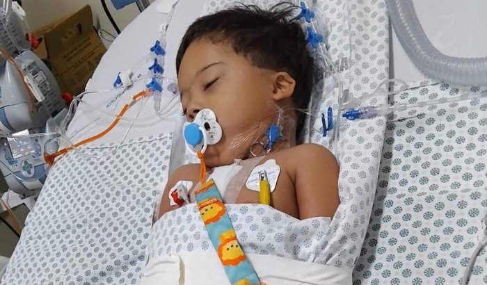 Vacinas para o Davi 