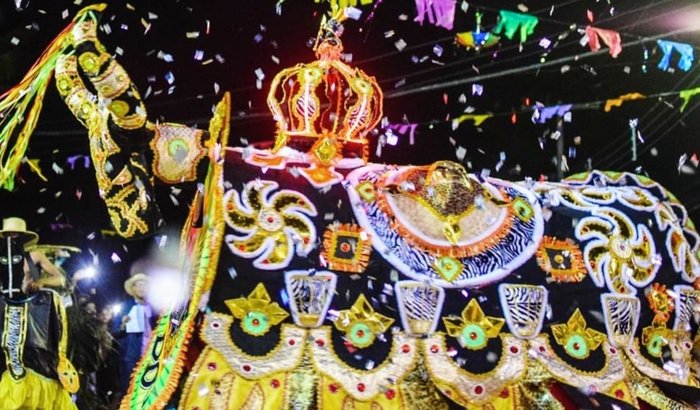 Retorno do boi águia dourada 🦅