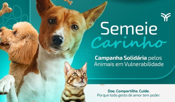 Programa Semear | Grupo ONNO