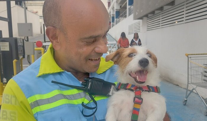 Um novo amanhã!!!!!