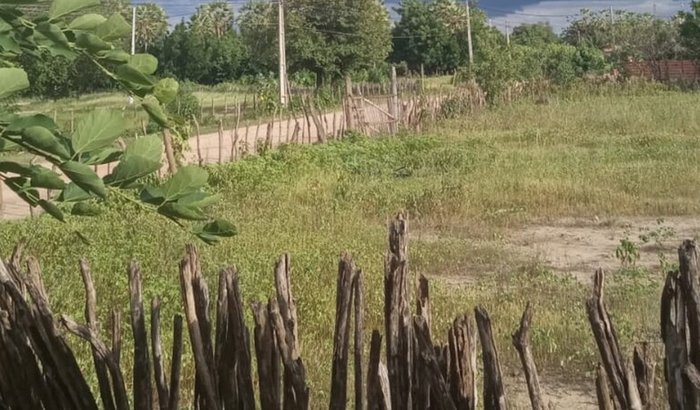 Comprar passagem pra minha mãe volta pra casa 