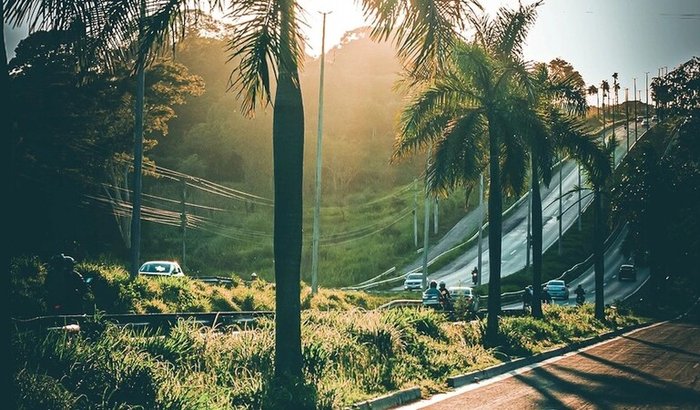 VAQUINHA FOTOGRÁFICA/ UM OLHAR UM APOIO!