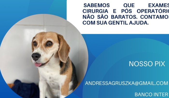 Ajuda para endoscopia da Sophie
