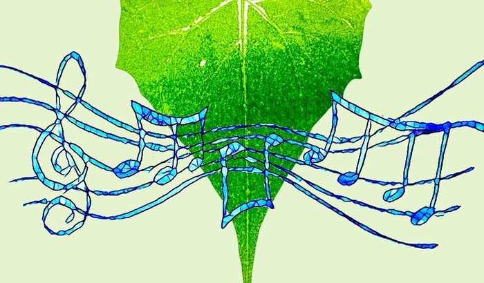 PROJETO - SARAU REFLORESTA