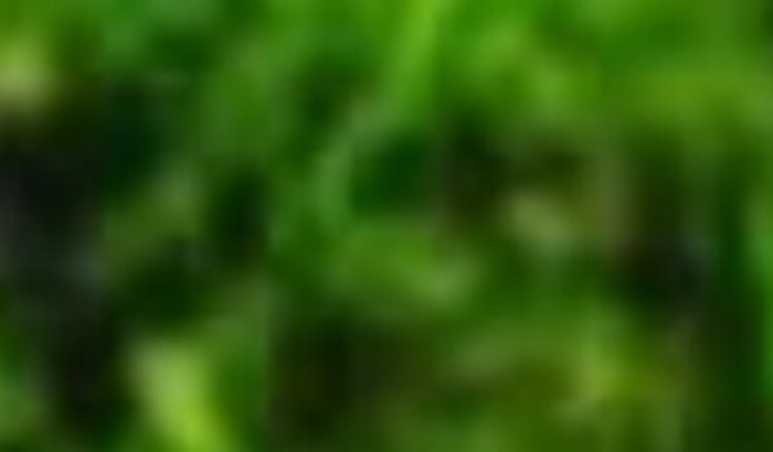 Ajude um atleta a ir para o Campeonato Brasileiro 2025 em Sapiranga-Rs