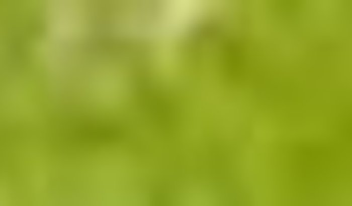 Ajudar fazer um teste em um time de futebol no Paraná.