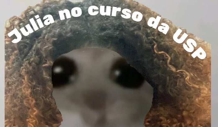 Julia no curso de inverno USP