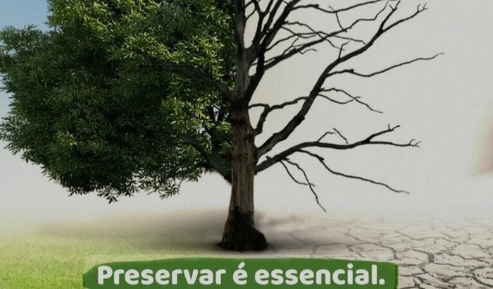 Ação Educação ambiental.