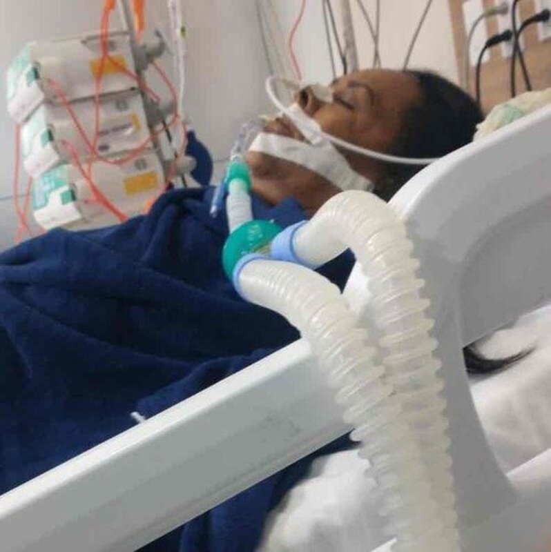 imagem da vaquinha Cirugia