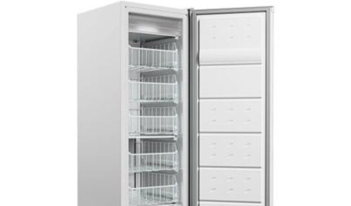 Freezer Vertical 