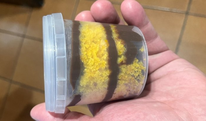 Doces Sonhos: A Confeitaria que Vai Sair do Caderno para a Vida Real