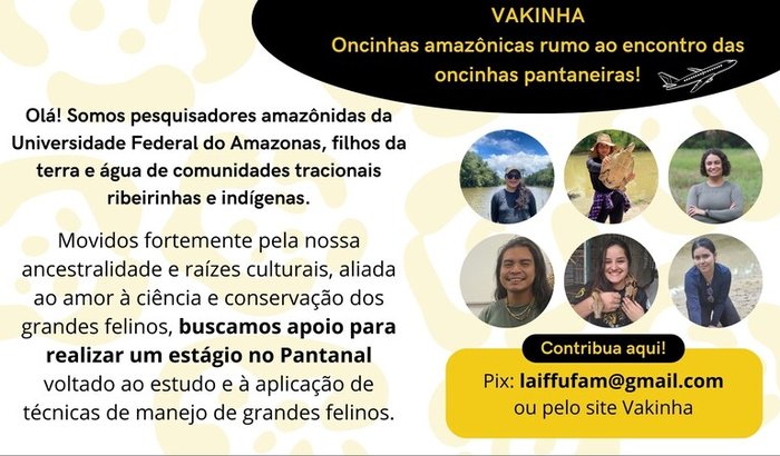 Oncinhas amazônicas rumo ao encontro das oncinhas pantaneiras!