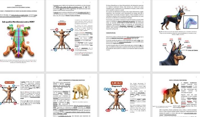 Livro Acupuntura Veterinária