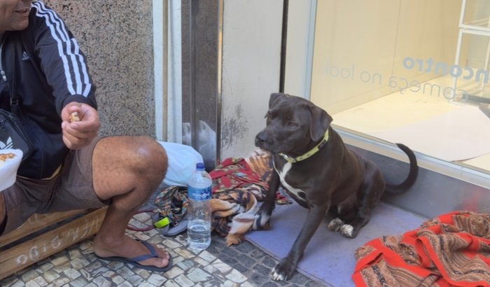 . Patinha do Bem: Vamos Ajudar o Free! Cirurgia