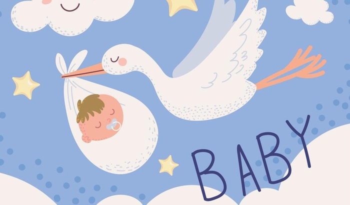 Chá de bebê do Erick