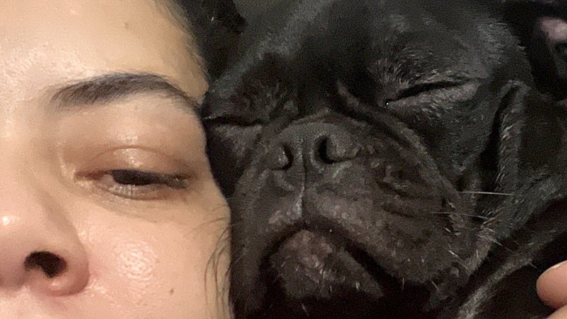 imagem da vaquinha Despesas pra não ser despejada casa/creche