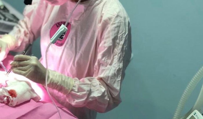 Dívidas da pandemia! Estou com ação de despejo de tudo. Me ajudem!!!!!!! 