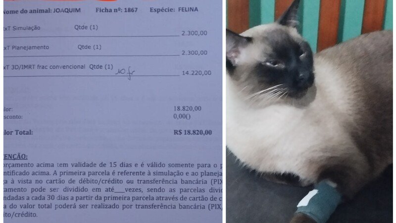 imagem da vaquinha Tumor Joaquim 