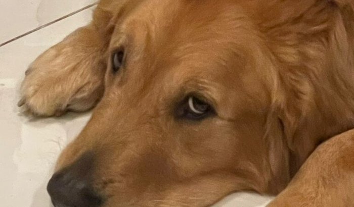 Missionária Márcia