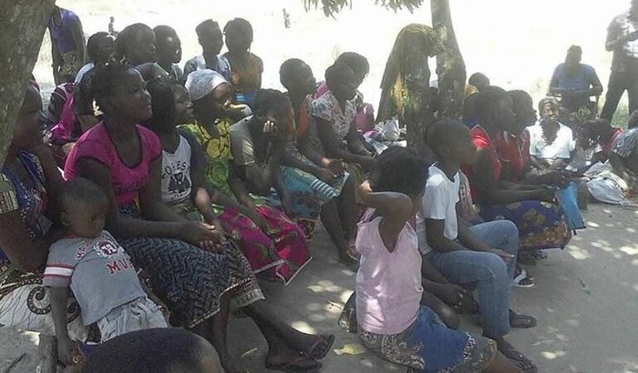SEMENTES DE MOÇAMBIQUE (DONDO)