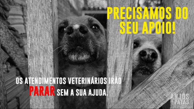 Ajude-nos a seguir com os tratamentos!