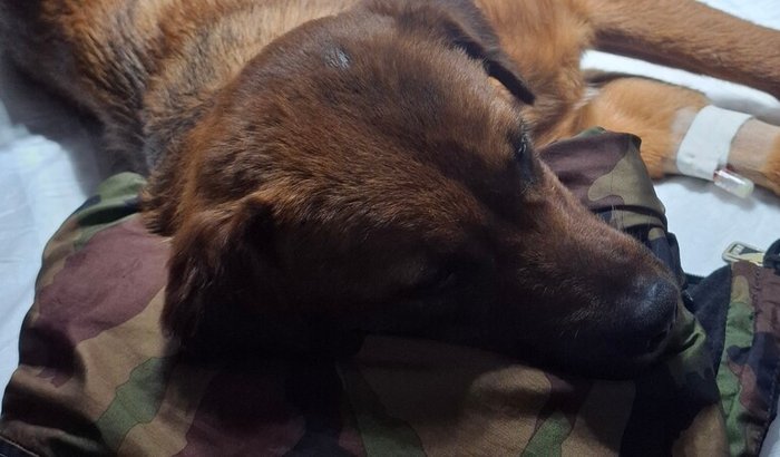 Tratamentos e cirurgias Caramela