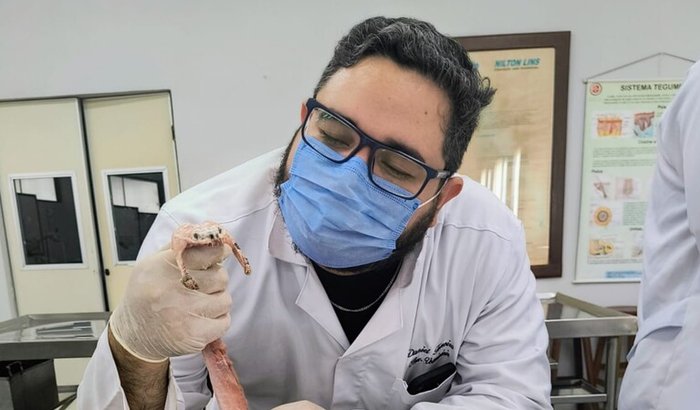 Arguição do Mestrado em Humaitá - Daniel Ferreira