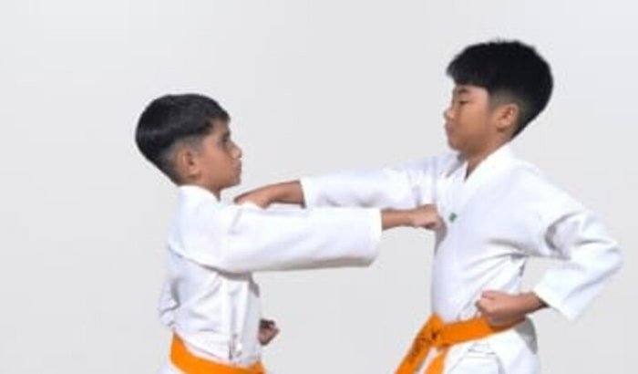 Ajude os Atletas da Família Shotokan